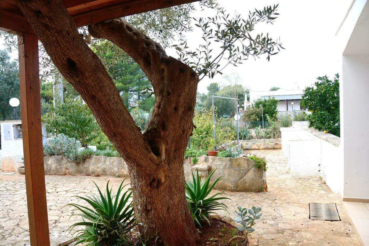 Villa Lilla Ostuni Zewnętrze zdjęcie