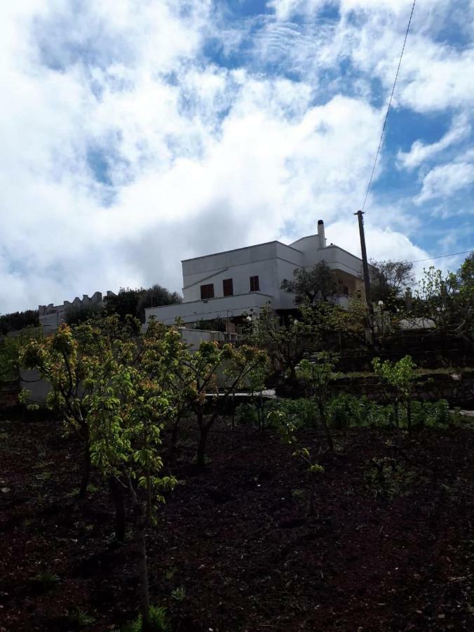 Villa Lilla Ostuni Zewnętrze zdjęcie